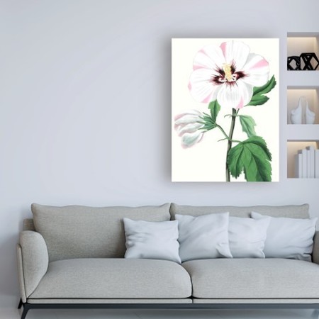 Trademark Fine Art Vision Studio 'Floral Beauty III' Canvas Art, 14x19 WAG14836-C1419GG